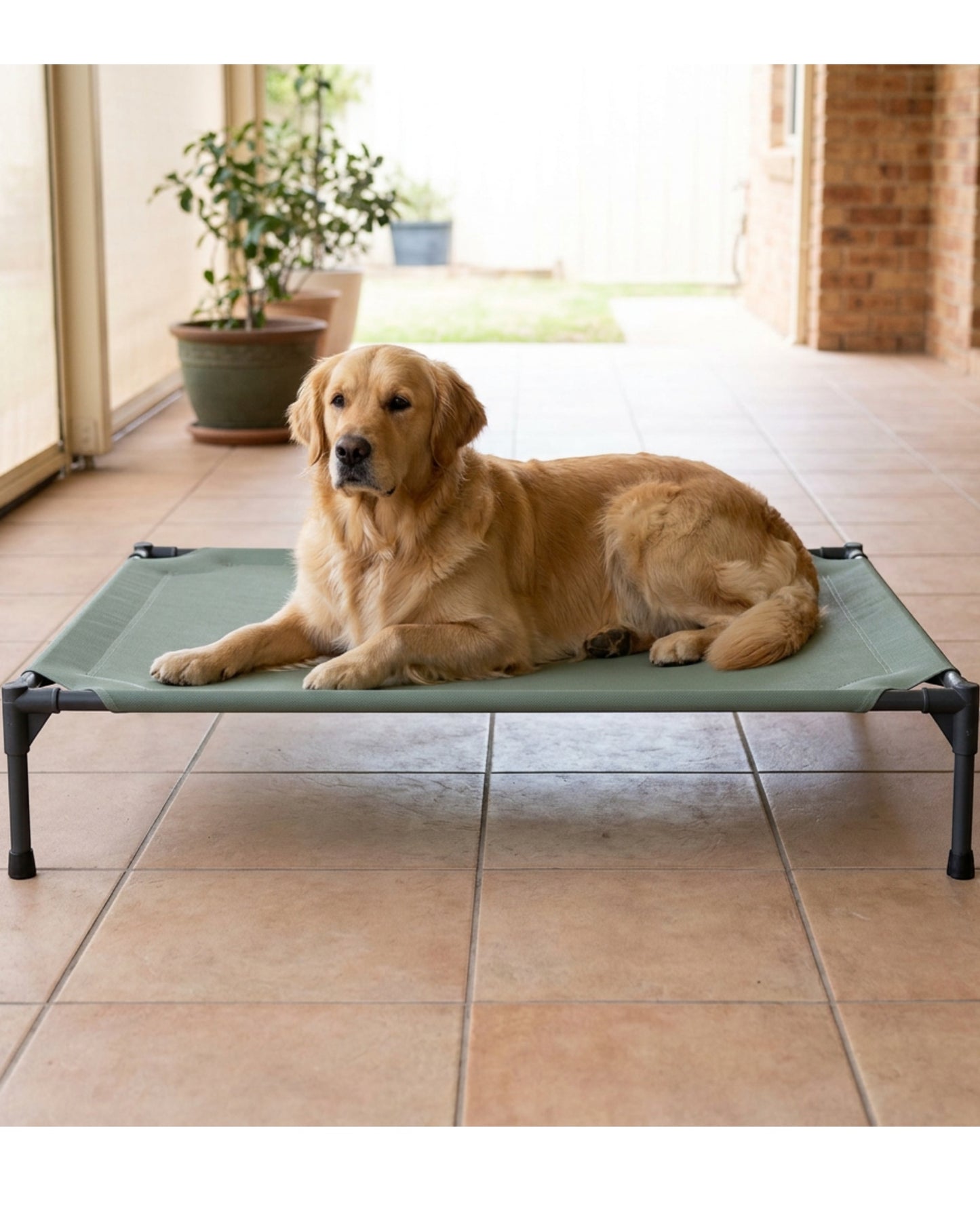 Dbmxf Airframe Elevated Dog Cot Sage 120 x 80 cm